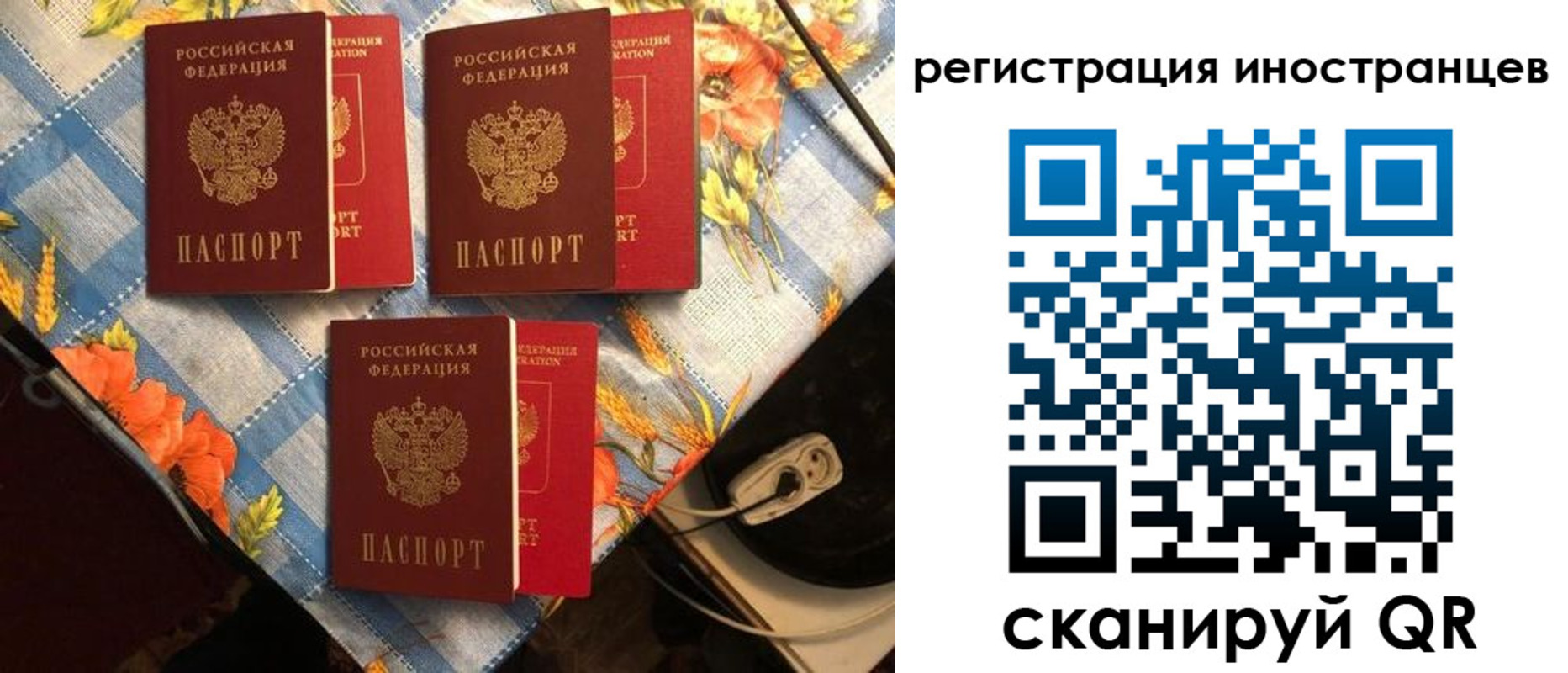 прописка поиск в Алтае